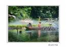 长隆飞鸟乐园创作团摄影作品欣赏(6)_在线影展的作品